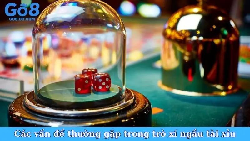 Các vấn đề thường gặp trong trò xí ngầu tài xỉu