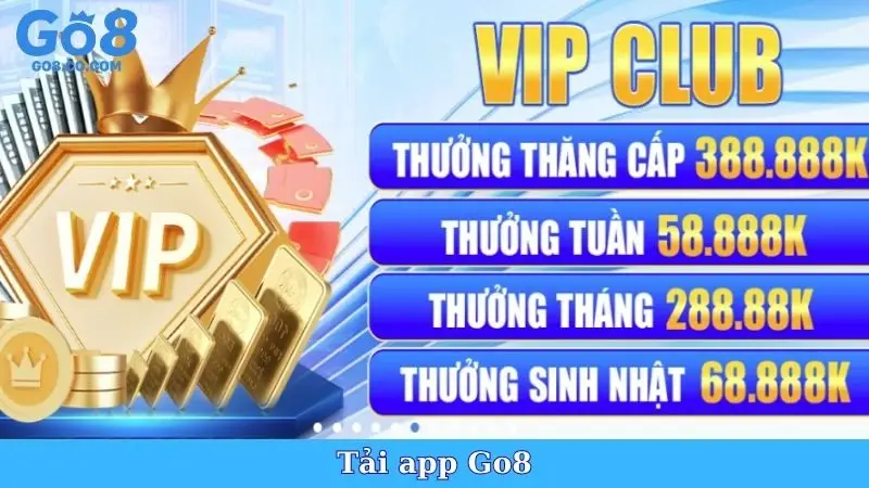 Tải App Go8