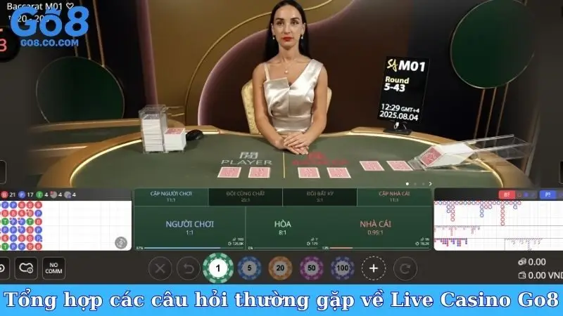 Tổng hợp các câu hỏi thường gặp về Live Casino Go8