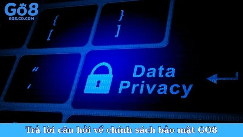 Trả lời câu hỏi về chính sách bảo mật GO8